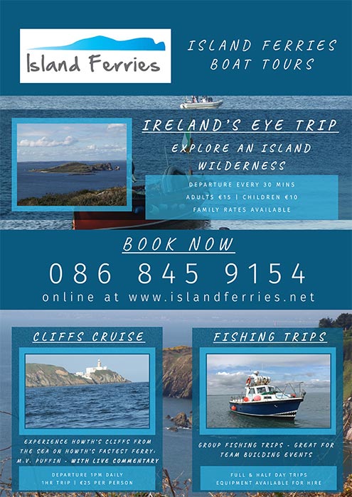 graphic design services dublin rocket chip web solutions island ferries